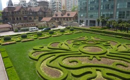 May 17th: Sad Lungs… And Other Body&nbsp;Parts