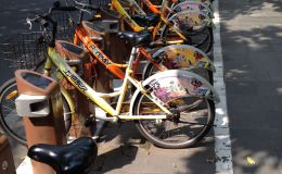 May 31st: Brief&nbsp;Lessons