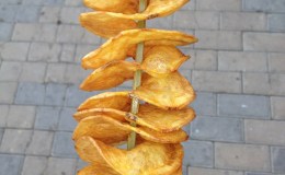 September 2nd: Healed by&nbsp;Curry