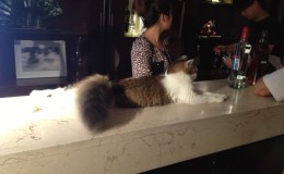 October 28th: Only Lightly&nbsp;Polluted