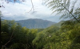 November 26th: Hot Springs and Love&nbsp;Jenga